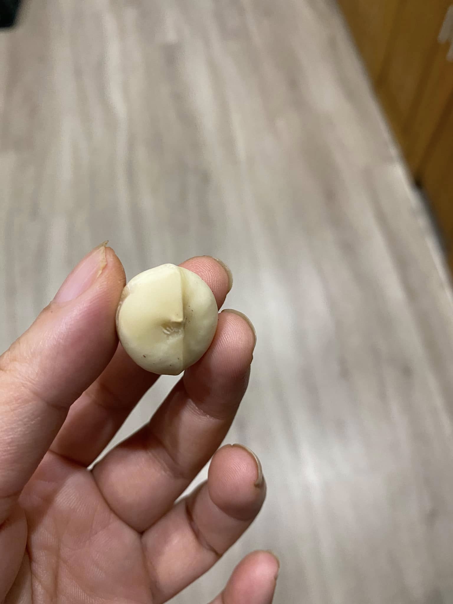 Nhân mắc ca dùng cho chế biến