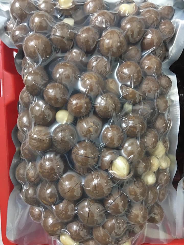 Túi hạt mắc ca trung nguyên vỏ 500g